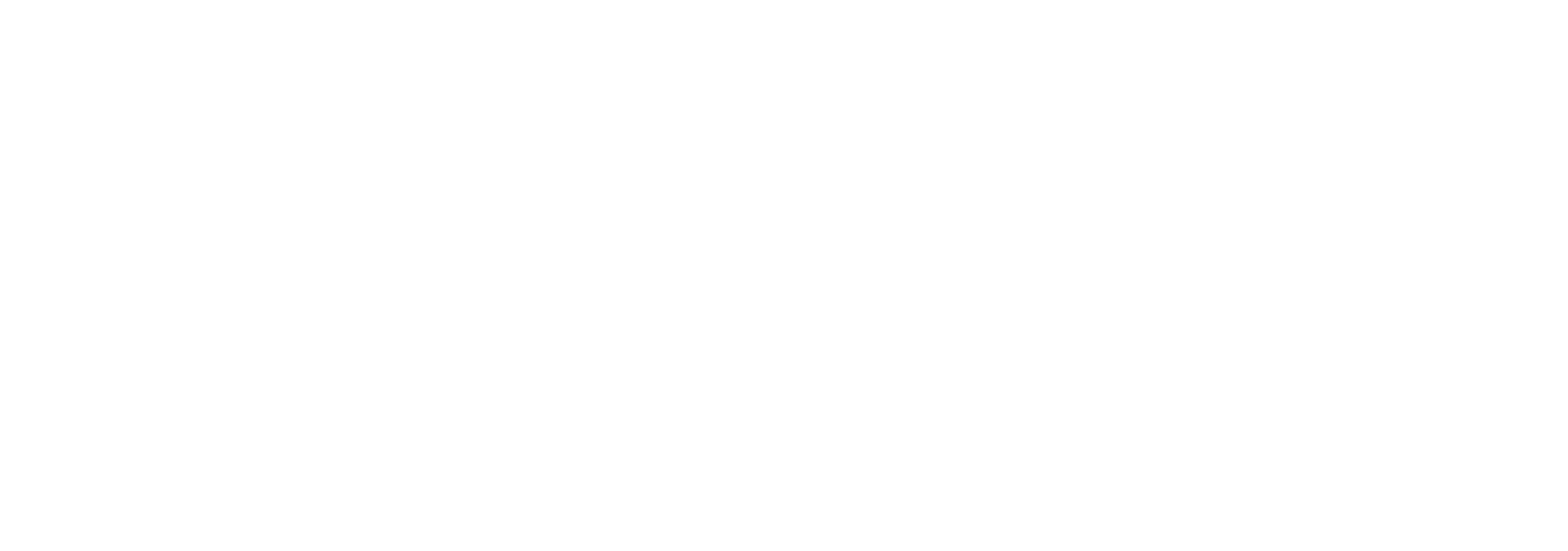 XiNeo